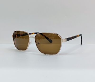 Чоловічі Окуляри PS2209 Polarized C54