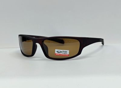 Спорт PE8241 Polarized C2