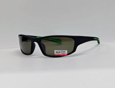 Спорт PE8241 Polarized C6