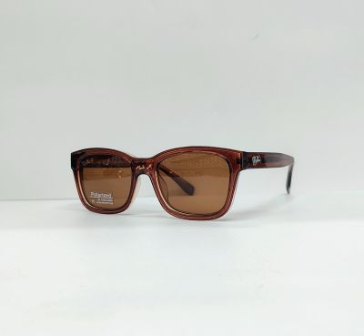 Чоловічі Окуляри Ray-B Polarized 7703 C5